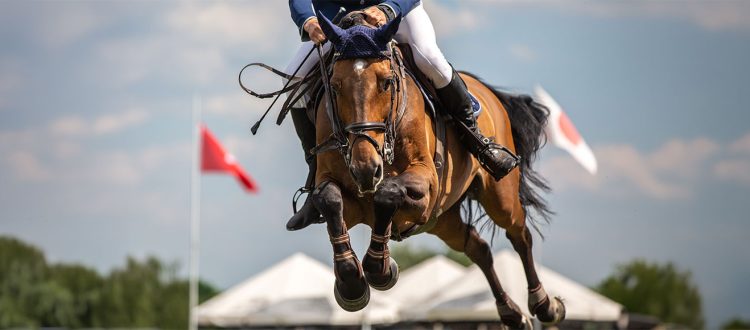 Versilia Horse Show: grande evento internazionale a due passi da Villa Tiziana